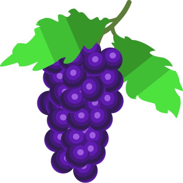 Grapes 1 Thumbnail