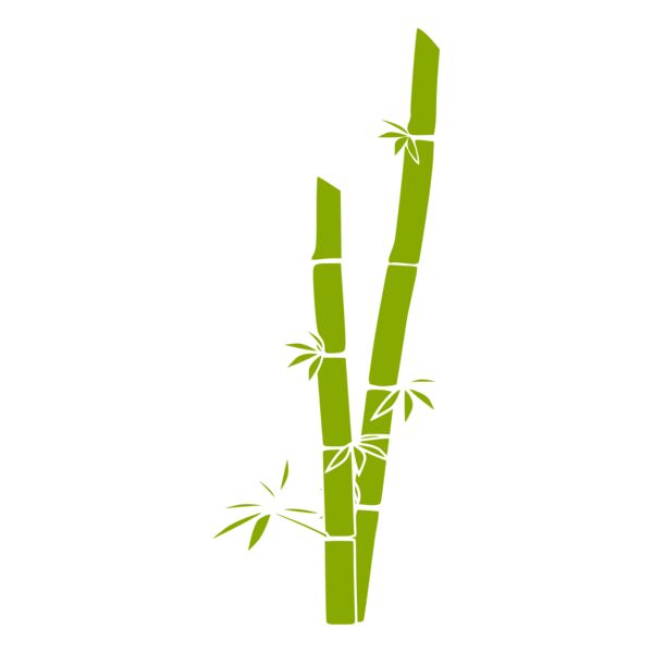 Bamboo 2 Thumbnail