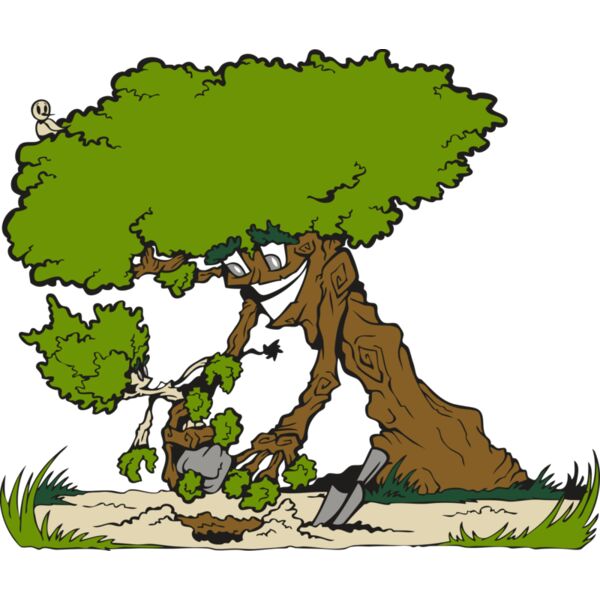 landscj022 Thumbnail