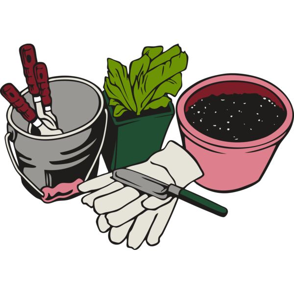 landscapeD31 Thumbnail