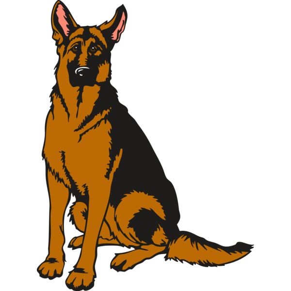 germnshpM004 Thumbnail