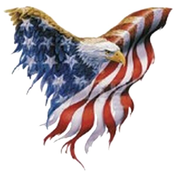 American Eagle Thumbnail