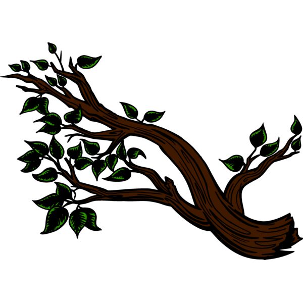 Tree01V4clr eps Thumbnail