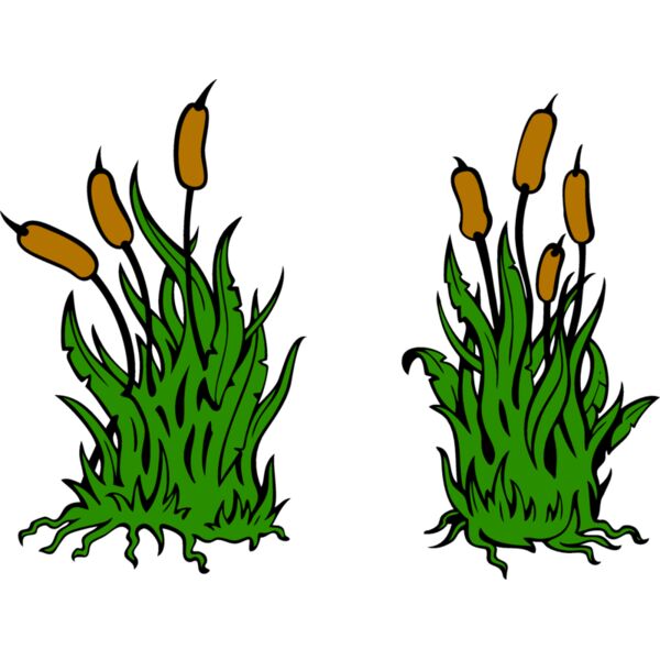 Leaves02V4clr eps Thumbnail