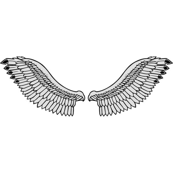 wings3 eps Thumbnail