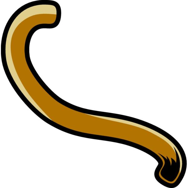 cougartail01 eps Thumbnail