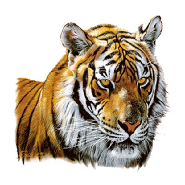 Tiger Thumbnail