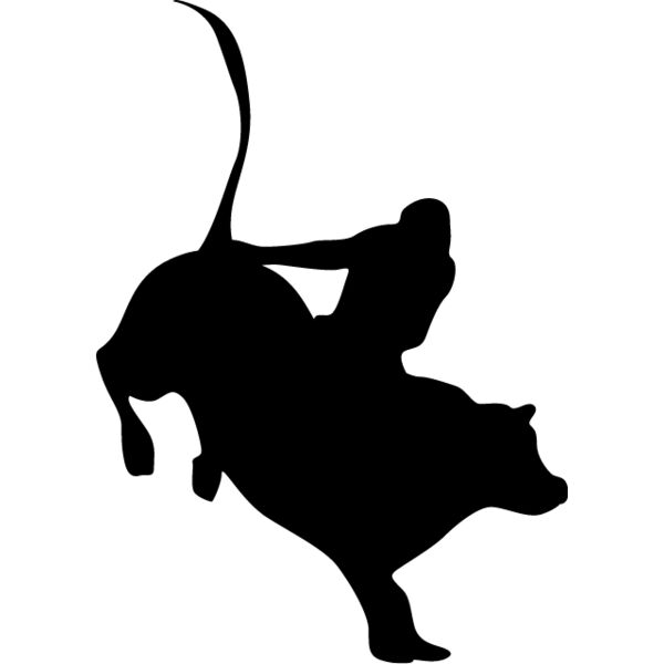 Bull Rider3 Thumbnail