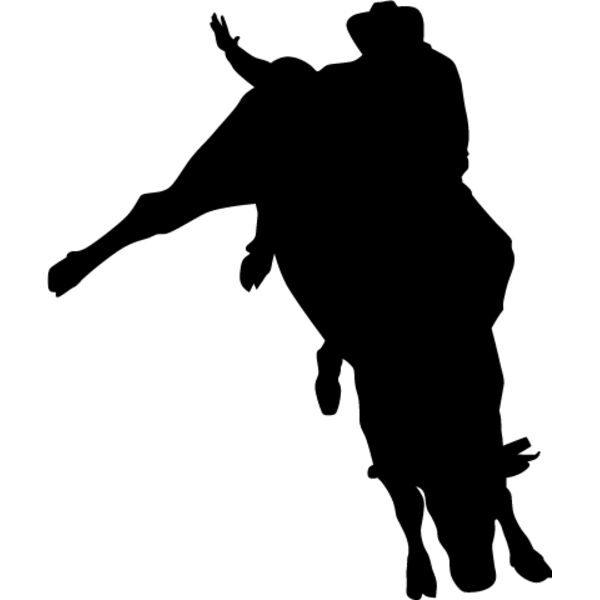 Bull Rider11 Thumbnail