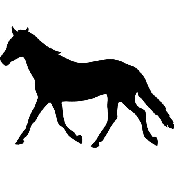 Horses Silhouette8 Thumbnail