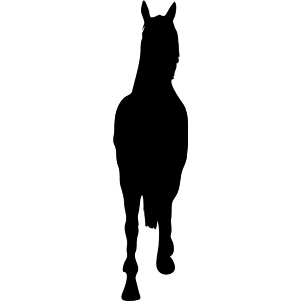 Horses Silhouette4 Thumbnail