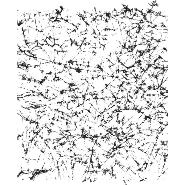 Distress10 Thumbnail