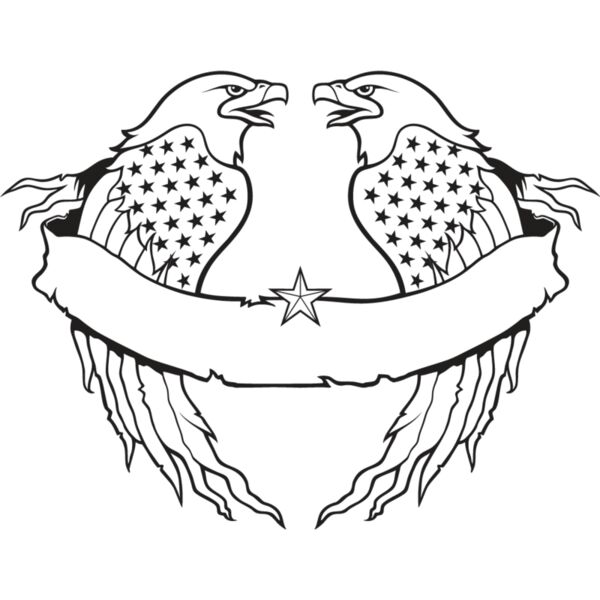 USA Eagle13 Thumbnail