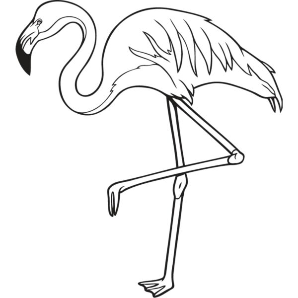 Flamingo Thumbnail