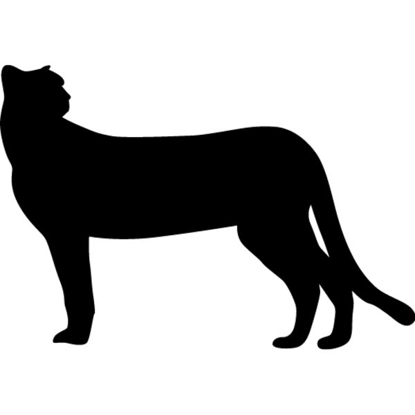 Big Cat  Tiger  Lion  Panther 25 Thumbnail