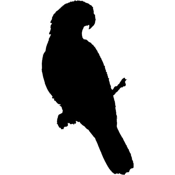 Parrot Silhouette6 Thumbnail
