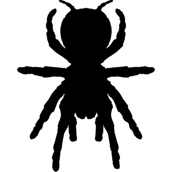 Spider Silhouette16 Thumbnail