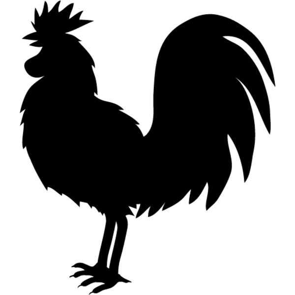 Rooster10 Thumbnail