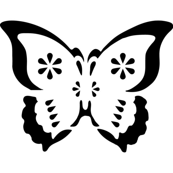Butterfly5 Thumbnail