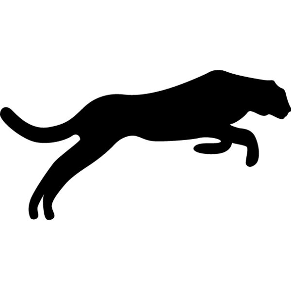 Big Cat  Tiger  Lion  Panther 21 Thumbnail