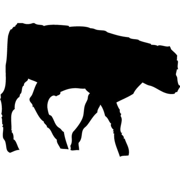 Cow8 Thumbnail