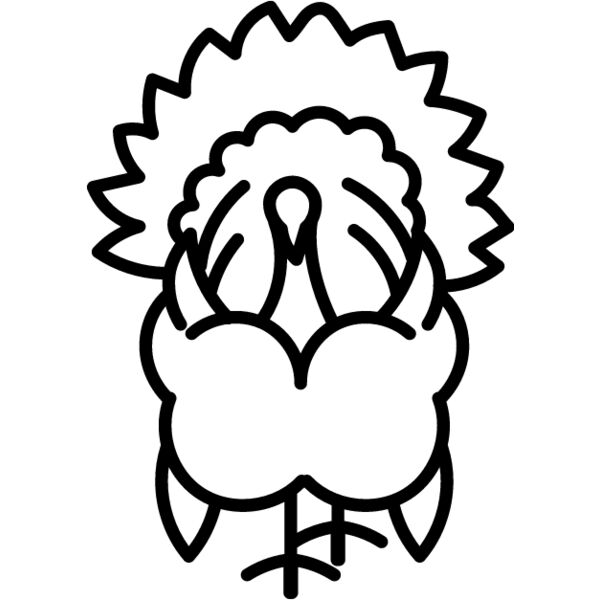 Wild Turkey Line 6 Thumbnail