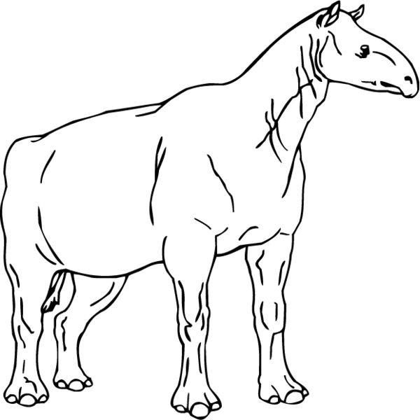 Indricotheriinae Thumbnail