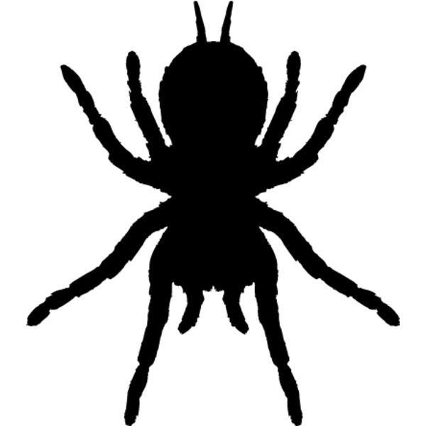 Spider Silhouette14 Thumbnail