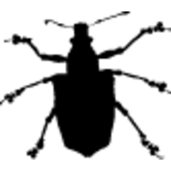 Walking Insect10 Thumbnail