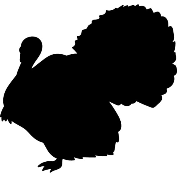 Wild Turkey6 Thumbnail