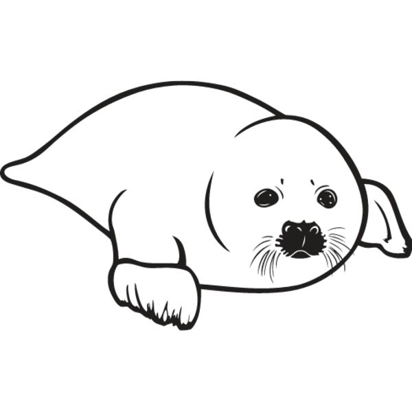 Baby Seal2 Thumbnail