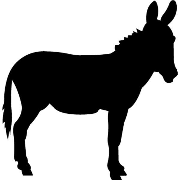 Donkey Thumbnail