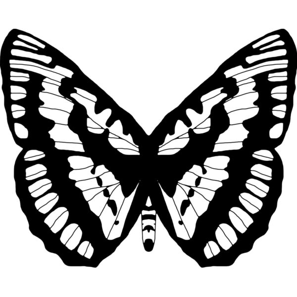 Butterfly1 Thumbnail