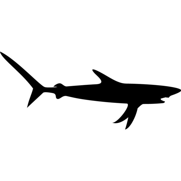 Shark Silhouette7 Thumbnail