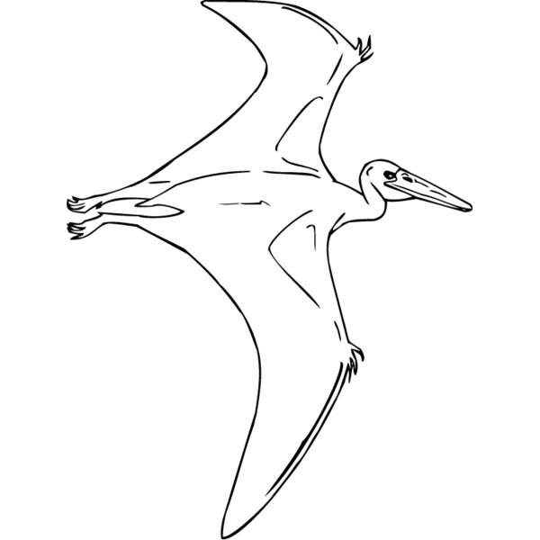 Pteradactyl1 Thumbnail