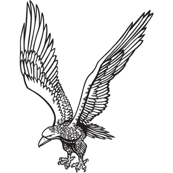 Eagle5 Thumbnail