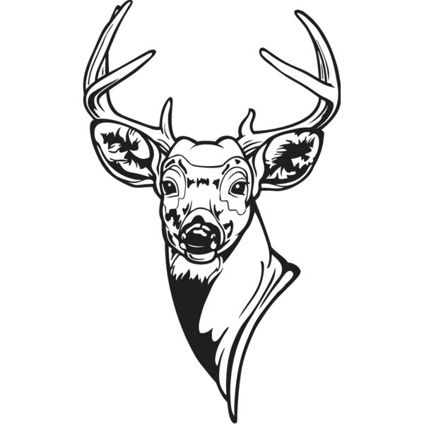 Deer3 Thumbnail