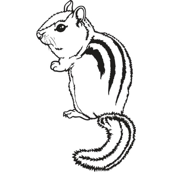 Chipmunk Thumbnail