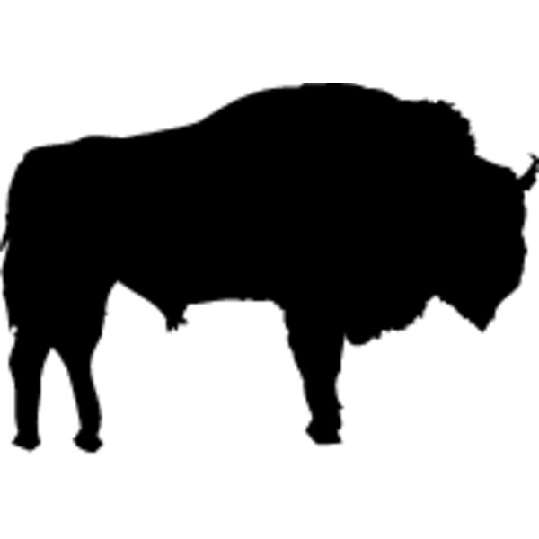 Buffalo1 Thumbnail