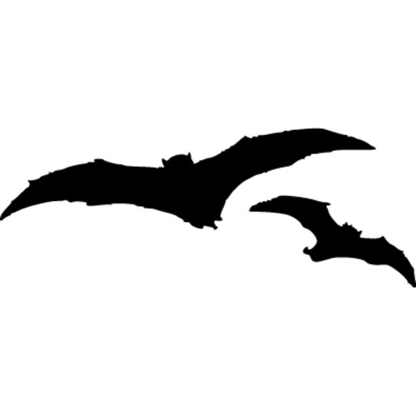Bats1 Thumbnail