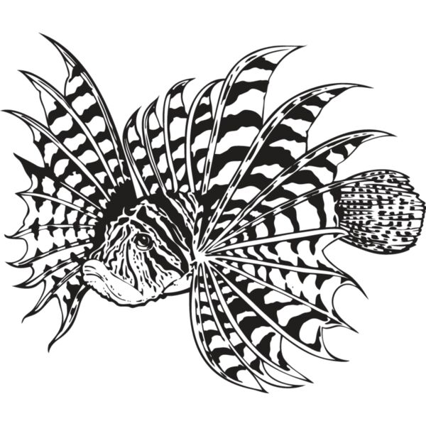 Lionfish Thumbnail