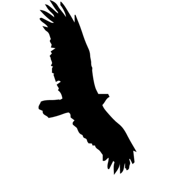 Bird Silhouette5 Thumbnail