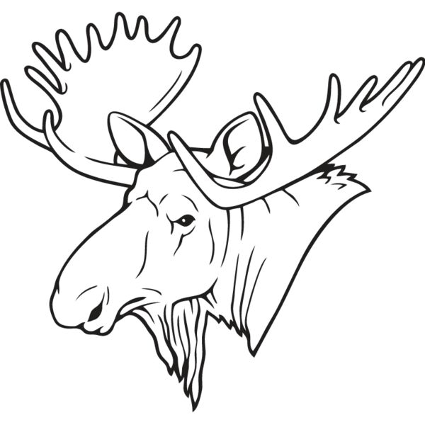 Moose1 Thumbnail