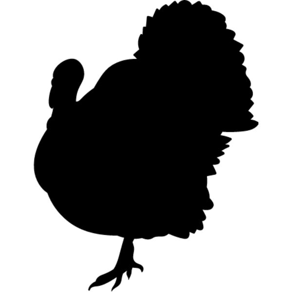 Wild Turkey5 Thumbnail