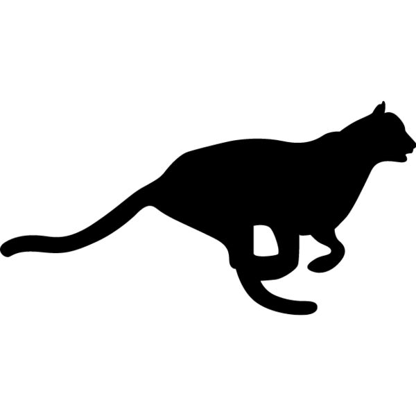 Big Cat  Tiger  Lion  Panther 23 Thumbnail