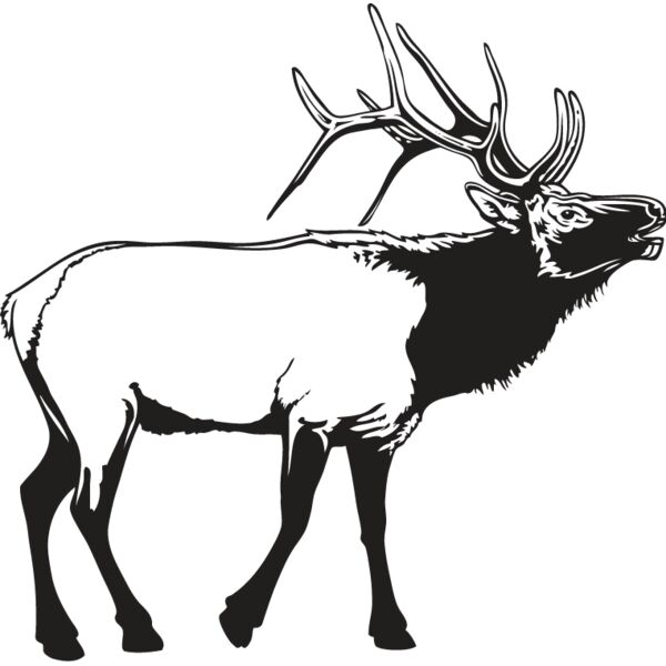 Elk2 Thumbnail