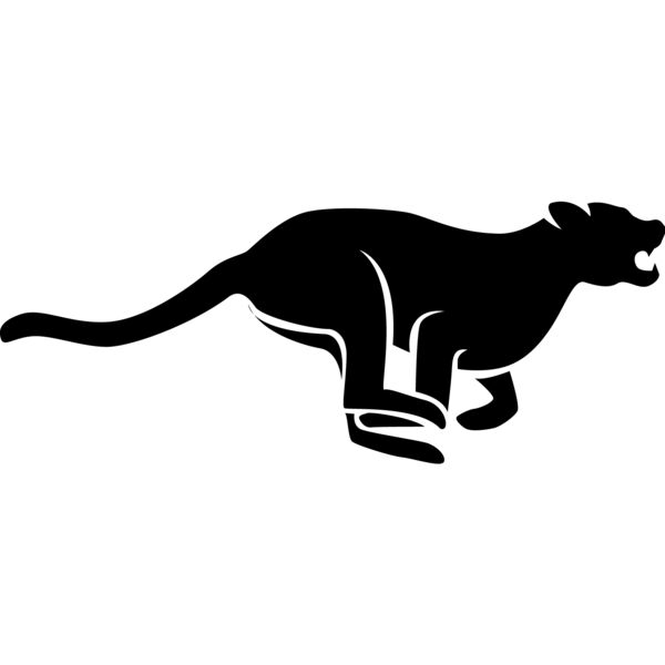 Big Cat  Tiger  Lion  Panther 13 Thumbnail