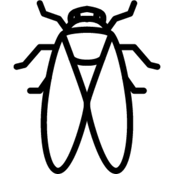 Flying Insect line 2 Thumbnail