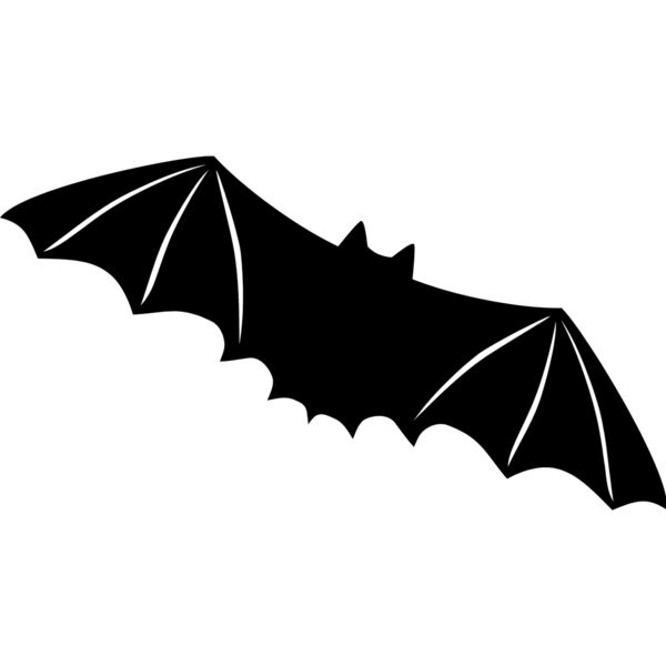 Bat6 Thumbnail