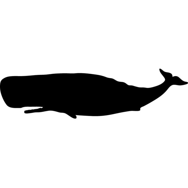 Blue Whale2 Thumbnail